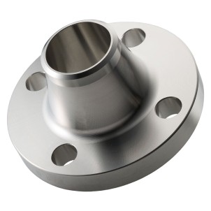 Weldneck flange used in data center piping